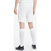Спортивні шорти чоловічі Puma teamGOAL 23 knit Shorts білий