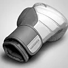 Перчатки для бокса Hayabusa T3 White Grey