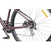 Горный велосипед SPIRIT Echo 9.2 29", рама XL, бордово-коричневый, 2021