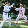 Кимоно для карате Smai Jin Kumite Gi Elite Premier League WKF