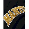 Шорты MANTO Cotton Varsity Black