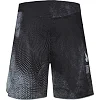 Шорти MMA PERESVIT Overpower Gray