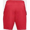 Спортивные шорты Under Armour MK-1 Red