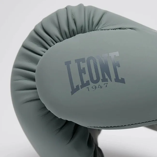 Боксерські рукавиці Leone GN058 TONE X Light grey