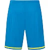 Спортивные шорты striker 2.0 c04 JAKO 4429-89