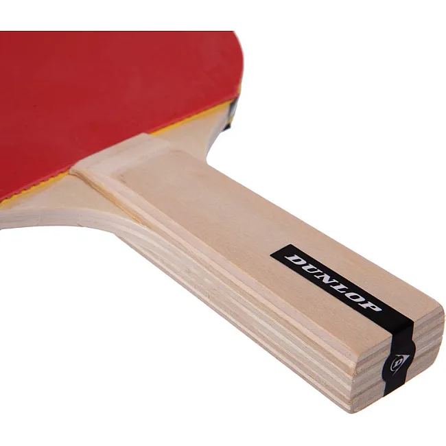 Набор для настольного тенниса DUNLOP DL679332 D TT MATCH 2 PLAYER SET
