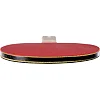 Набор для настольного тенниса DUNLOP DL679332 D TT MATCH 2 PLAYER SET