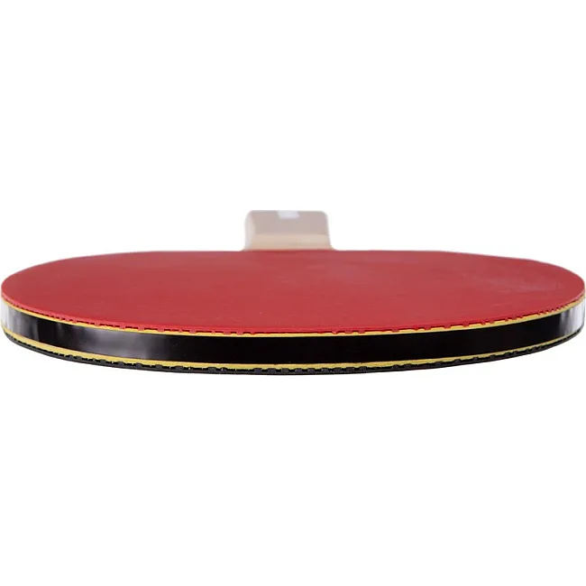 Набор для настольного тенниса DUNLOP DL679332 D TT MATCH 2 PLAYER SET