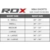 Шорти для ММА RDX Multi Gray