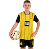 Дитяча футбольна форма
 із символікою футбольного BORUSSIA DORTMUND домашня 2025 SP-SPORT

 CO-4652 20-30 (Жовтий-чорний)