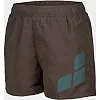 Детские шорты Arena BEACH SHORT LOGO R