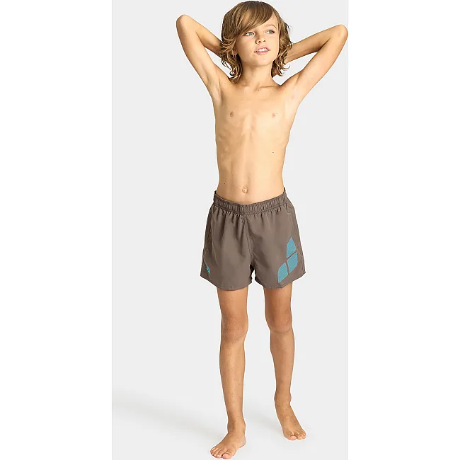 Детские шорты Arena BEACH SHORT LOGO R