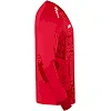 GK джерсі воротаря Tropicana JAKO 8911-110