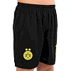 Дитяча футбольна форма
 із символікою футбольного BORUSSIA DORTMUND домашня 2025 SP-SPORT

 CO-4652 20-30 (Жовтий-чорний)