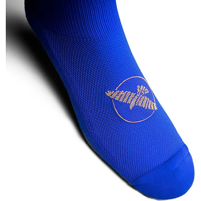 Шкарпетки для боксу HAYABUSA Pro Blue