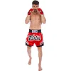 Шорти для кікбоксингу FAIRTEX BS0611