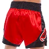 Шорти для кікбоксингу FAIRTEX BS0611