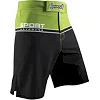 Шорты Hayabusa Sport Training Shorts Green