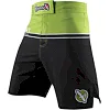 Шорты Hayabusa Sport Training Shorts Green