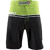 Шорты Hayabusa Sport Training Shorts Green