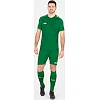 Спортивные шорты premium JAKO 4465-06