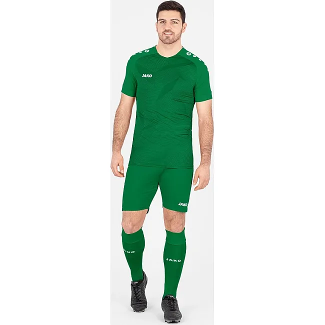 Спортивные шорты premium JAKO 4465-06