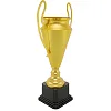 Спортивный кубок
 наградной SP-SPORT
 Favorite 160 см
1B
 43,5см