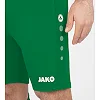 Спортивные шорты premium JAKO 4465-06