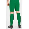 Спортивные шорты premium JAKO 4465-06