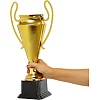 Спортивный кубок
 наградной SP-SPORT
 Favorite 160 см
1B
 43,5см