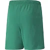 Детские шорты Puma teamRISE Short Jr зеленый