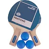 Набор для настольного тенниса PANTONE SPK1005
