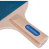 Набор для настольного тенниса PANTONE SPK1005