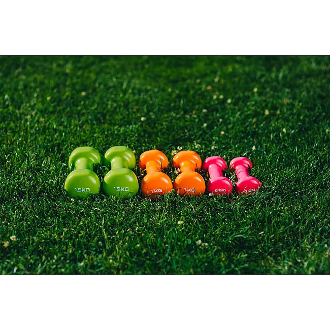 Набір гантелей в кейсі 6кг. POWERPLAY 4103 Fitness Dumbells (2шт*0,5кг. 2шт*1кг. 2шт*1,5кг.)
