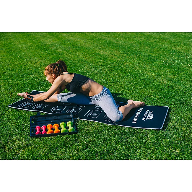 Набір гантелей в кейсі 6кг. POWERPLAY 4103 Fitness Dumbells (2шт*0,5кг. 2шт*1кг. 2шт*1,5кг.)