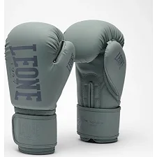 Боксерские перчатки Leone GN058 TONE X Light grey