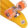 Пенні борд Penny Board круїзер пластиковий з колесами, що світяться, і ручкою для перенесення 24