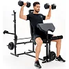 Лава регульована багатофункціональна Zipro Ripped з партою Скотта