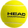 Мячи для большого тенниса HEAD Tour 570703 (Салатовый)