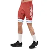 Велоформа летняя джерси и шорты SPOINT ALPECIN Y-20