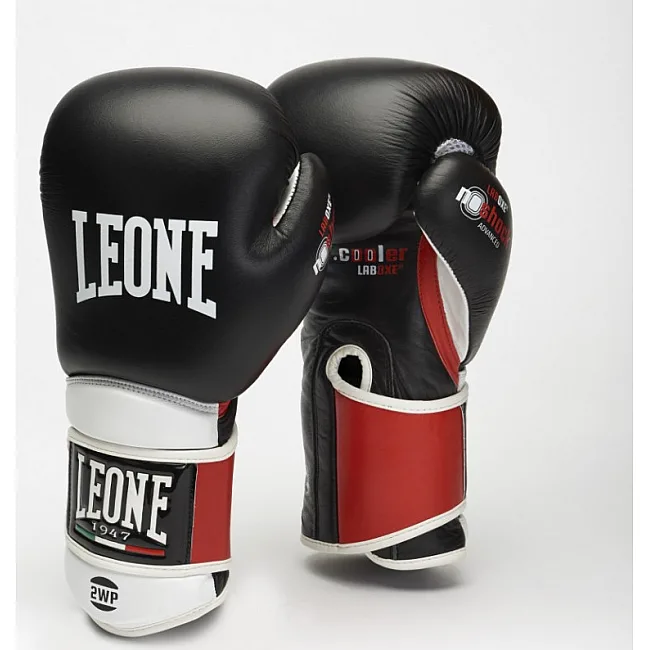 Боксерські рукавиці Leone Tecnico