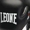 Боксерські рукавиці Leone Tecnico