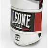 Боксерські рукавиці Leone Tecnico