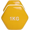 Гантель для фитнеса 1кг ZELART TA-2825-1 (упаковка 20 шт)