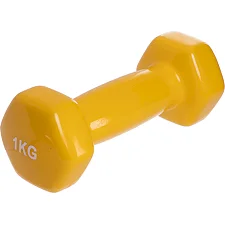 Гантель для фитнеса 1кг ZELART TA-2825-1 (упаковка 20 шт)