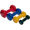 Гантель для фитнеса 1кг ZELART TA-2825-1 (упаковка 20 шт)