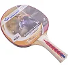 Ракетка для настольного тенниса DONIC МТ-300 703029 APPEL GREN 300