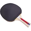 Ракетка для настольного тенниса DONIC МТ-300 703029 APPEL GREN 300