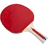Ракетка для настольного тенниса DONIC МТ-300 703029 APPEL GREN 300