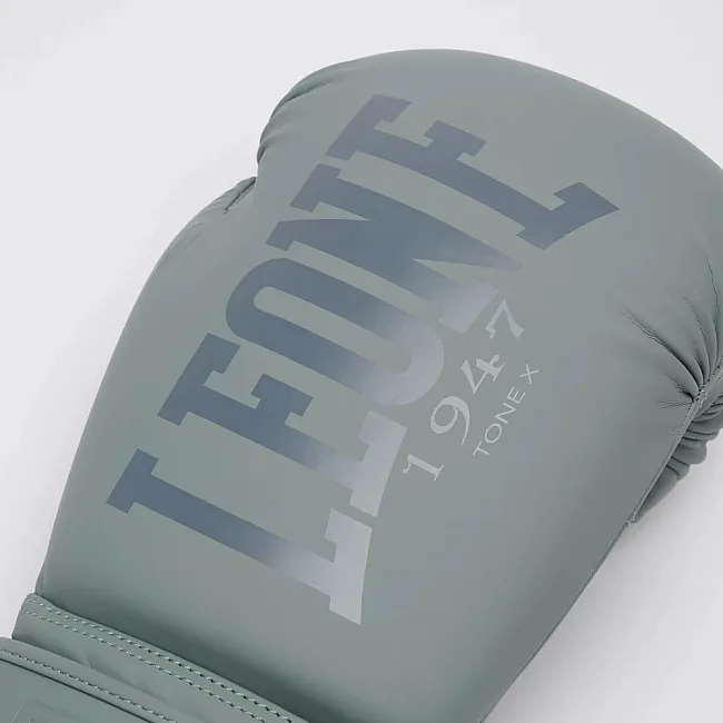 Боксерські рукавиці Leone GN058 TONE X Light grey
